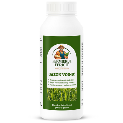 🌱 Gazon Voinic 1 Litru – Îngrășământ pentru Creștere Deasă și Gazon Verde și Uniform - 100% organic
